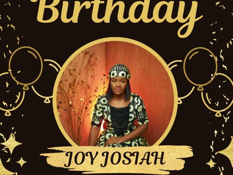 Vicksontechnical Hub